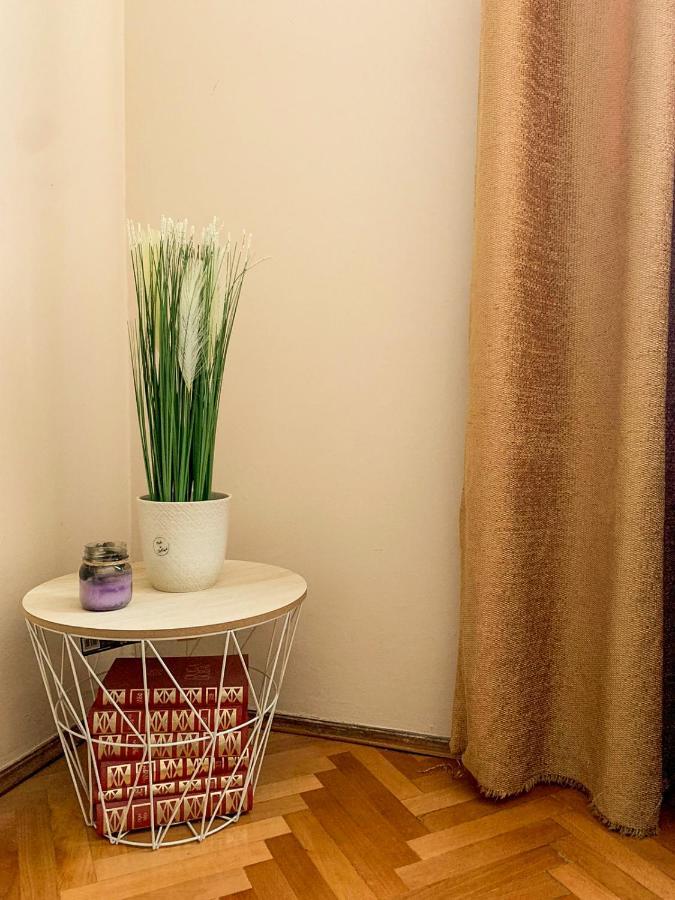 Cute, Spacious Apt In The Heart Of The Old Town Podgorica Exterior foto